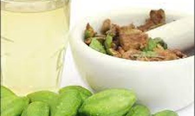 ସମସ୍ତ ରୋଗକୁ ଦୂର କରିବ ହରିଡ଼ା ଓ ଗୁଡ଼