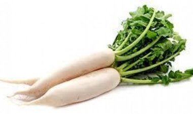 ଆସନ୍ତୁ ଜାଣିବା ମୂଳା ଶାଗର ଉପକାରିତା ବିଷୟରେ