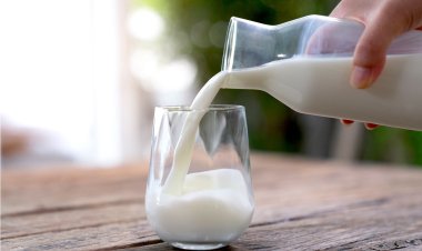 ଜାଣନ୍ତୁ, କ୍ଷୀର ସହ କେଉଁ ଖାଦ୍ୟ ଖାଇବା ଅନୁଚିତ୍‍