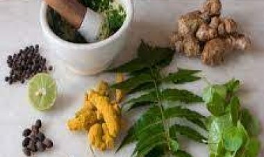 ସମସ୍ତ ରୋଗକୁ ଦୂର କରିବ ହରିଡ଼ା ଓ ଗୁଡ଼