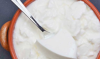 ଦହିରେ ରହିଛି ଅନେକ ଔଷଧୀୟ ଗୁଣ