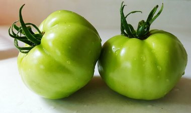 ସବୁଜ ବିଲାତି ଖାଉଥିଲେ ନିହାତି ଜାଣନ୍ତୁ