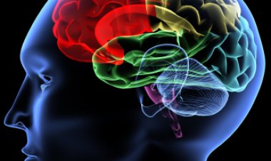 ମସ୍ତିଷ୍କ ସୁସ୍ଥ ରଖିବାକୁ ଡ଼ାଏଟରେ ସାମିଲ କରନ୍ତୁ ଏହି ଖାଦ୍ୟ