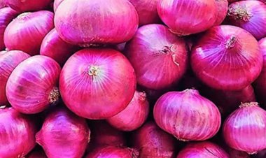 କଞ୍ଚା ପିଆଜ ଖାଇବାର ଫାଇଦା କଣ ଜାଣନ୍ତୁ