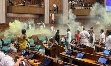 ସଂସଦର ସୁରକ୍ଷା ତ୍ରୁଟି ଘଟଣା:ମାଷ୍ଟରମାଇଣ୍ଡଙ୍କୁ ଚିହ୍ନଟ