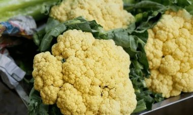 ସ୍ୱାସ୍ଥ୍ୟ ପାଇଁ ଔଷଧି ଫୁଲକୋବି