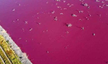 ଏଠି ପାଣି ବିଷାକ୍ତ, ଛୁଇଁବା ବିପଦଜନକ