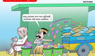 ବେହାଲ ଚାଷୀ , ସରକାର ଏଠି ଚୁପ ବସିଛି