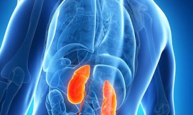 ଜାଣନ୍ତୁ କିଡନୀ ଫେଲର ଲକ୍ଷଣ