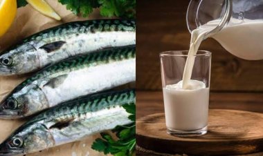 ମାଛ ଖାଇବା ପରେ ପିଅନ୍ତୁ ନାହିଁ କ୍ଷୀର