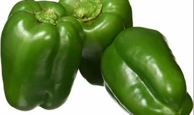 କ୍ୟାପ୍‌ସିକମ୍‌ ଓ ସିମ୍‌ଲା ଲଙ୍କାକୁ କେବଳ ସ୍ବାଦ ନୁହେଁ, ସ୍ବାସ୍ଥ୍ୟ ପାଇଁ ବି ଖାଆନ୍ତୁ