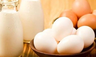 ଅଣ୍ଡା ନା କ୍ଷୀର .. କିଏ ବେଶୀ ଉପକାରୀ?