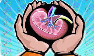 କିଡ୍‌ନୀ ଦେବା ନାଁରେ ୧୨ଲକ୍ଷ ଠକେଇ