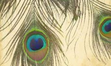 ଘରେ ରଖନ୍ତୁ ମୟୂର ପୁଚ୍ଛ, ବଦଳି ଯିବ ଭାଗ୍ୟ