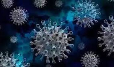 କରୋନା ନେଇ ଆସିଲା ବଡ଼ ଖବର, ନିଶ୍ଚିତ ଜାଣିରଖନ୍ତୁ