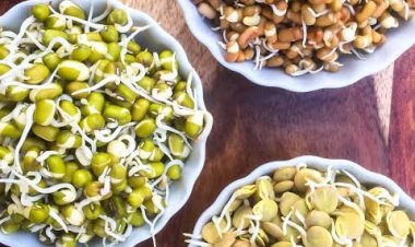 ଆପଣ ଖାଉଛନ୍ତି କି ସ୍ପ୍ରାଉଟ