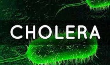 ଜାଣନ୍ତୁ, ହଇଜା ରୋଗର କାରଣ କାରଣ ଓ ଲକ୍ଷଣ