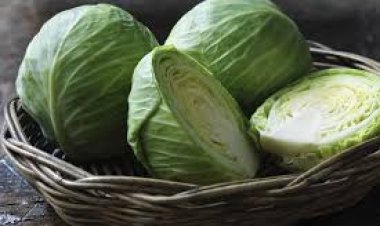 ଶରୀର ପାଇଁ ଅତି ହିତକର ‘ବନ୍ଧାକୋବି’