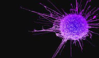 କର୍କଟ ଭଲ କରିପାରିବ ଆସ୍ପ୍ରିନ୍!