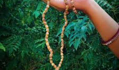 ତୁଳସୀ ମାଳାର ମହତ୍ବ ଅନେକ