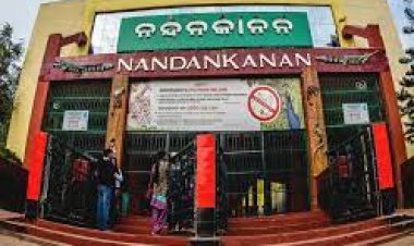 କେମିତି ହୋଇଥିଲା ନନ୍ଦନକାନନ ?