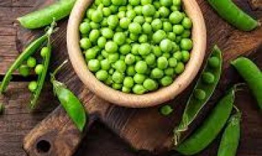 ଶୀତଦିନେ ତ୍ୱଚାରେ ଚମକ ଆଣେ ଗ୍ରୀନ୍ ମଟର