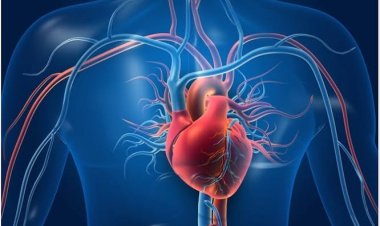 ଦିନରେ ଖାଆନ୍ତୁ ଗୋଟିଏ ସେଉ, ହୃଦୟ ରହିବା ସୁସ୍ଥ