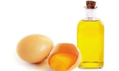 ଚୁଟିର ଡାକ୍ତର ଅଣ୍ଡା ତେଲ : ଜାଣନ୍ତୁ ଏହାର ଫାଇଦା