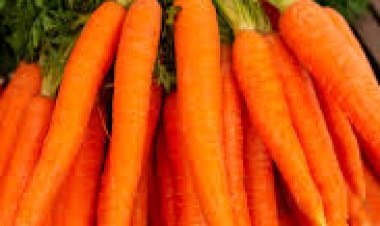 ଶୀତଦିନେ ଖାଦ୍ୟରେ  ଗାଜର ଖାଇବାର, ଏହି ସବୁ ଫାଇଦା