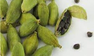 ରାତିରେ କେବଳ ଦୁଇଟି ଅଳେଇଚ ଖାଅନ୍ତୁ : ୫ଦିନରେ କମାଲ ଦେଖନ୍ତୁ