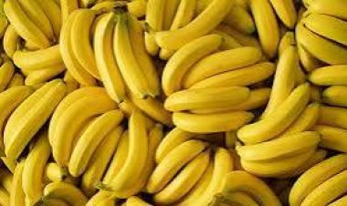 ରାତିରେ କେବଳ ଦୁଇଟି ଅଳେଇଚ ଖାଅନ୍ତୁ : ୫ଦିନରେ କମାଲ ଦେଖନ୍ତୁ