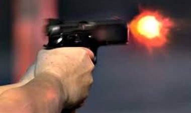 ଆମେରିକାରେ ଗୁଳିମାଡ଼: ୭ ମୃତ