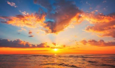 ସୂର୍ୟ୍ୟାସ୍ତ ପରେ ଆଦୌ ଘରକୁ ଆଣନ୍ତୁ ନାହିଁ ଏହି ଜିନିଷ