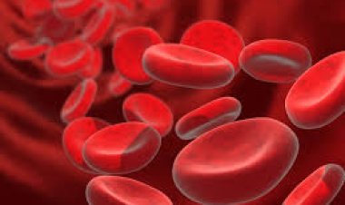 ଏହି ଗୋଟିଏ ବ୍ୟାୟାମ ଦୂର କରେ  ମାନସିକ ଚାପ