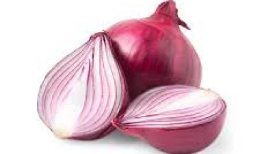 ଲମ୍ବା କେଶ ପାଇଁ  ଜରୁରୀ ପିଆଜ ରସ