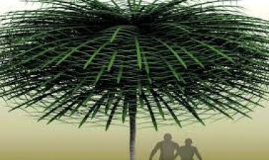 ୩୫ କୋଟି ବର୍ଷ ତଳର   ବିଚିତ୍ର ବୃକ୍ଷ