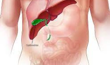 ଆପଣାନ୍ତୁ ଏହି ଖାଦ୍ୟ; ରହିବନି ଲିଭରରେ ତ୍ରୁଟି