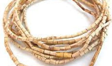 ତୁଳସୀ ମାଳା ଧାରଣ କରିବାର କାରଣ କଣ ?