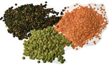 ମଧୁମେହ ରୋଗୀ କେଉଁ ଡାଲି ଖାଇବେ ଓ ଖାଇବେନି?