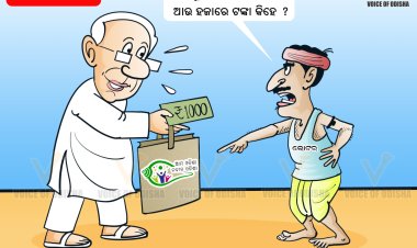 ବିଚରା ଭୋଟର