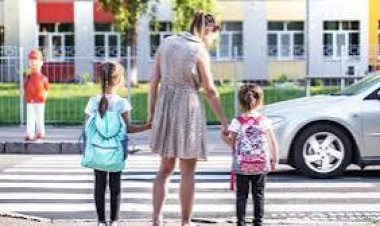 ସୌଭାଗ୍ୟ ଆଣିଦେବ ପୋଷାକ , ଜାଣନ୍ତୁ କିପରି