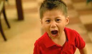 ପିଲା ଜିଦିଆ ହେଲେ କଣ କରିବେ?