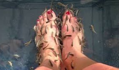 ପାଦକୁ ସୁନ୍ଦର କରେ ‘ଫିସ୍‌ ପେଡିକିୟୋର’