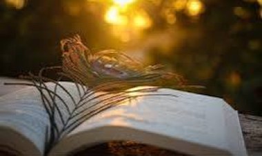 ବହିରେ ମୟୂର ଚୂଳ ରଖିବାର ଫାଇଦା ଜାଣନ୍ତୁ!