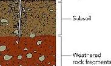 ଚିନ୍ତାରେ ସାରା ବିଶ୍ବ : ମୃତ୍ତିକାରେ ପଟାସ୍‌ ହ୍ରାସ