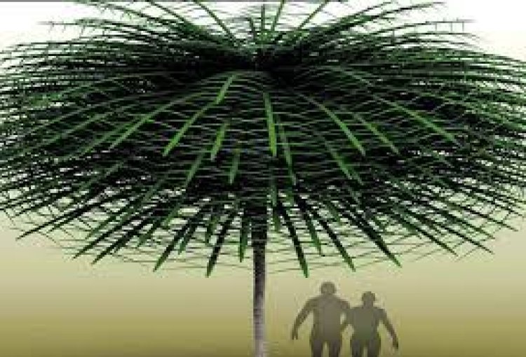 ୩୫ କୋଟି ବର୍ଷ ତଳର   ବିଚିତ୍ର ବୃକ୍ଷ