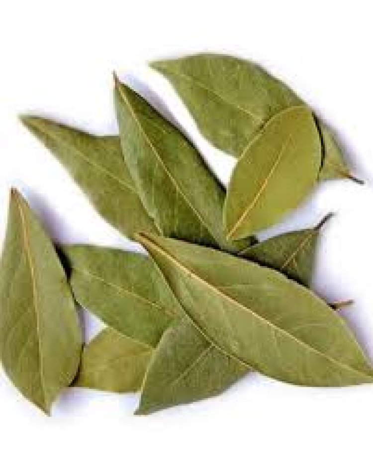 ସ୍ୱାସ୍ଥ୍ୟ ପାଇଁ  ଉପଯୋଗୀ ତେଜ ପତ୍ର