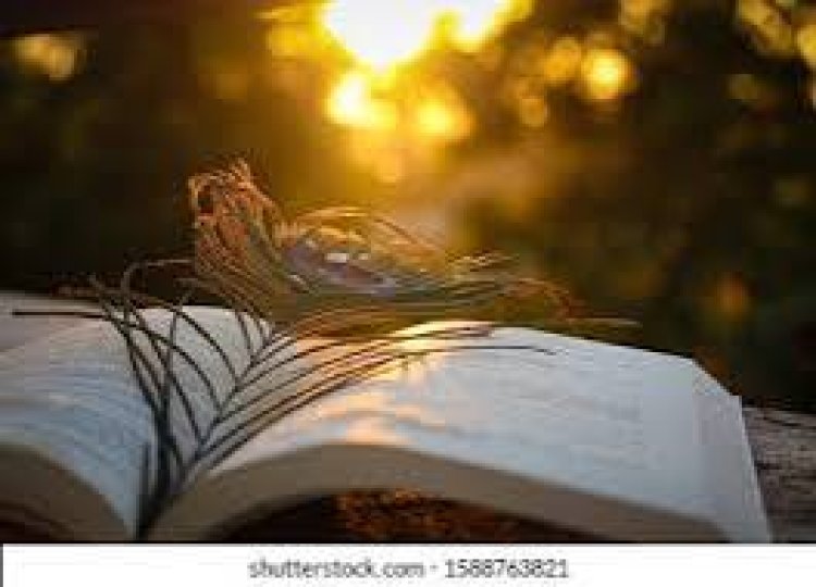 ବହିରେ ମୟୂର ଚୂଳ ରଖିବାର ଫାଇଦା ଜାଣନ୍ତୁ!