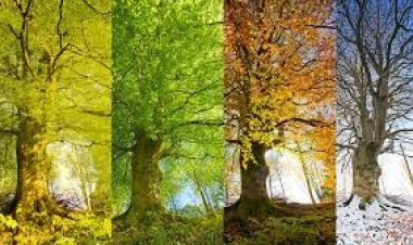 ଋତୁଚକ୍ରରେ  ଋତୁର ନାମ ବସନ୍ତ