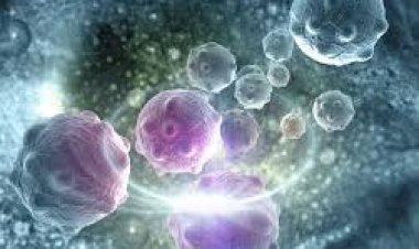 ମାତ୍ର ୧୦୦ ଟଙ୍କାରେ କ୍ୟାନସରର ହେବ ସର୍ବନାଶ !